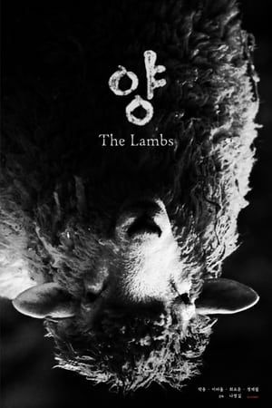 Image The Lambs