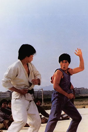Bruce Lee Superdragon 10