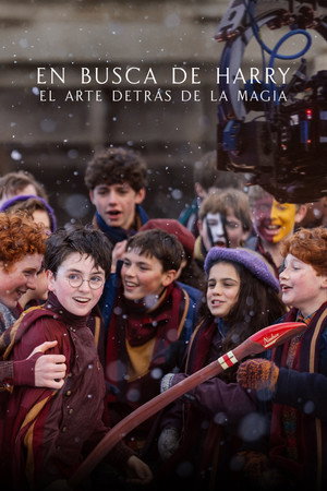 Póster de En busca de Harry: El arte detrás de la magia - Ver online y descargar en vercinelatino.com