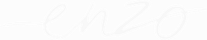 Enzo — Logos 2