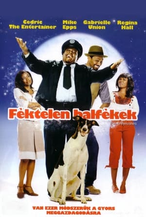 Poster Féktelen balfékek 2005