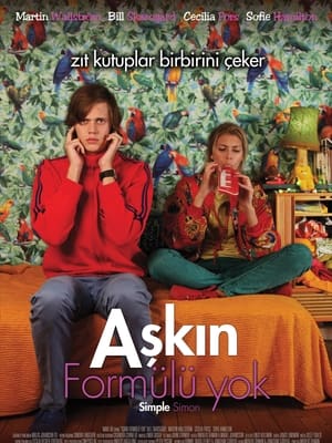 Aşkın Formülü Yok 2010