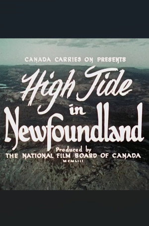 High Tide in Newfoundland