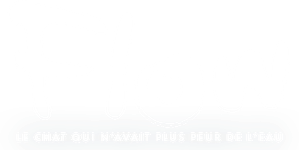 Flow, le chat qui n'avait plus peur de l'eau