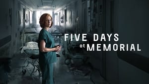 Five Days at Memorial (2022)