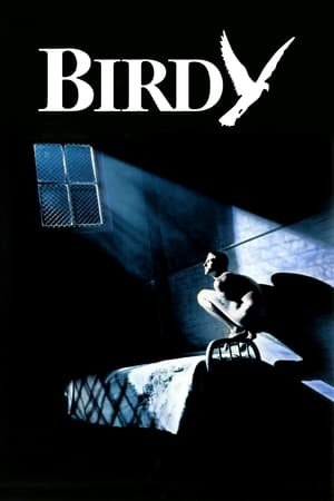 Birdy 1984