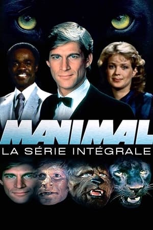 Manimal - Saison 1 - poster n°2