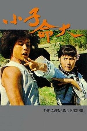 Poster 小子命大 1979