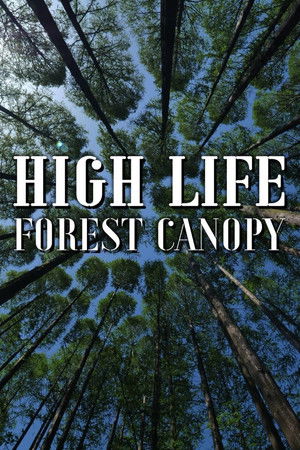 High Life: Forest Canopy