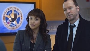 Blue Bloods 5 x 8