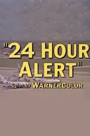 24 Hour Alert poster