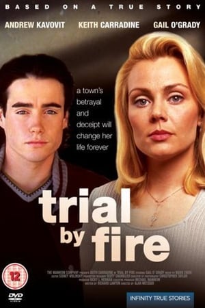 Poster Trial by Fire (1995)