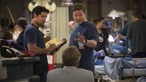 Code Black 1 x 8