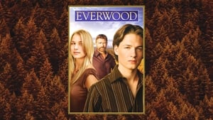 poster Everwood