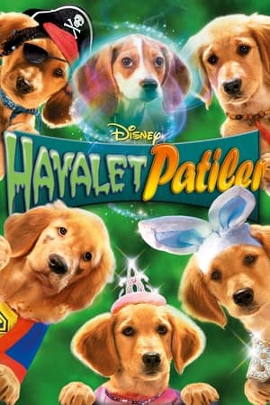 Poster Hayalet Patiler 2011