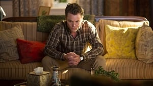 Rectify 3×5
