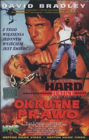 Poster Okrutne Prawo 1995