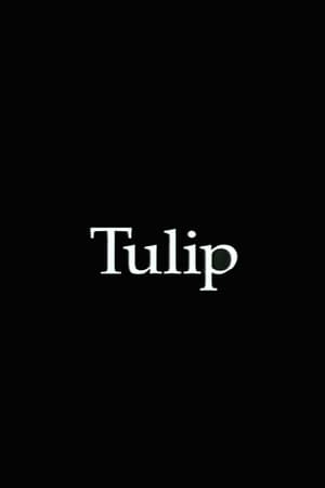 Tulip poster