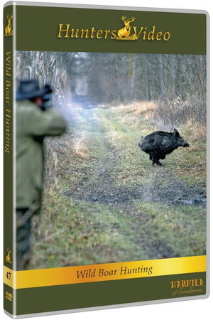 Wild Boar Hunting