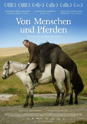 Poster Von Menschen und Pferden 2013