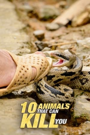 Poster 10 Animals That Will Kill You (2021)