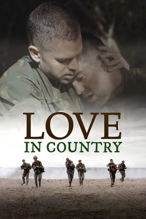 Poster Love in Country 2021