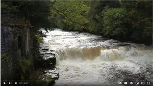 Severn