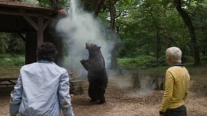 O Urso do Pó Branco