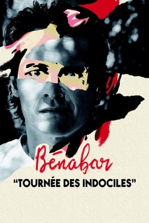 Poster Bénabar - Tournée des indociles 2022