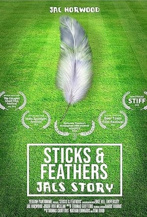 Sticks and Feathers