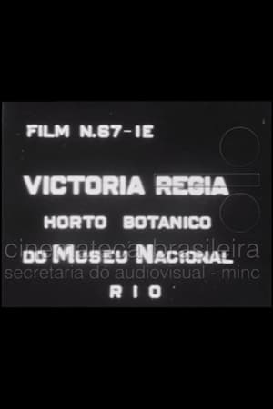 Victória Régia: Horto Botânico do Museu Nacional poster