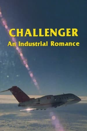 Image Challenger: An Industrial Romance