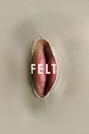 Image Felt