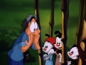 Animaniacs: 1×48