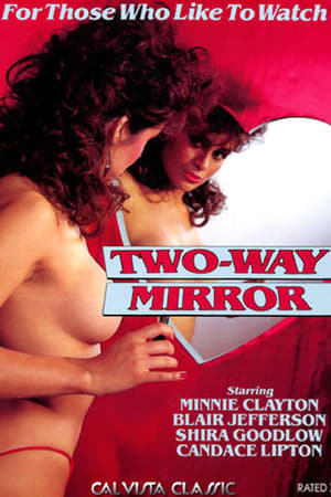 Poster Two Way Mirror 1981