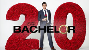 poster The Bachelor