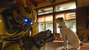 Bumblebee 2018