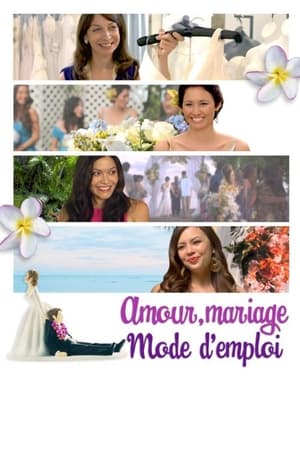 Poster Amour, mariage : Mode d'emploi 2011