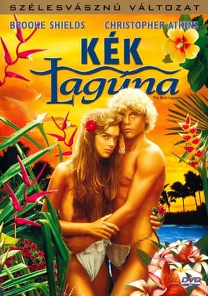 A kék lagúna (1980)