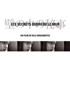 Secrets Behind the Wall 6