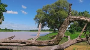 Africa River Wild Luangwa River