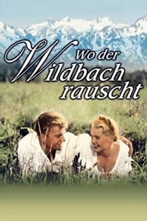 Wo der Wildbach rauscht poster