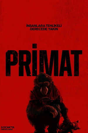 poster Primate