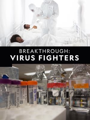 Image Breakthrough: Virus Fighters