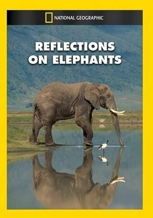 Poster Reflections on Elephants 1994