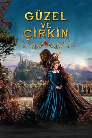 Poster Güzel ve Çirkin 2014