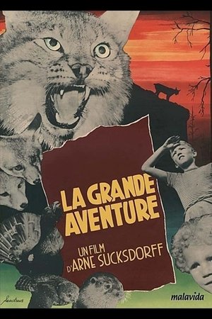 La Grande aventure film complet