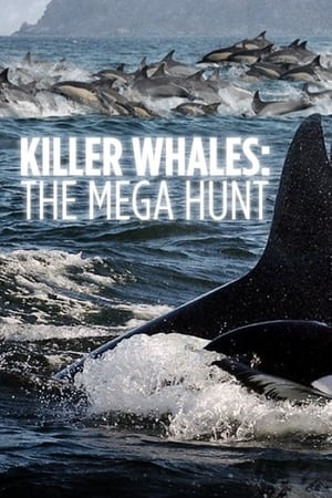 Poster Killer Whales: the Mega Hunt 2016