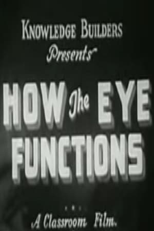 How the Eye Functions
