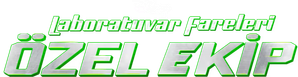 Lab Rats: Força Elite — Logos 11